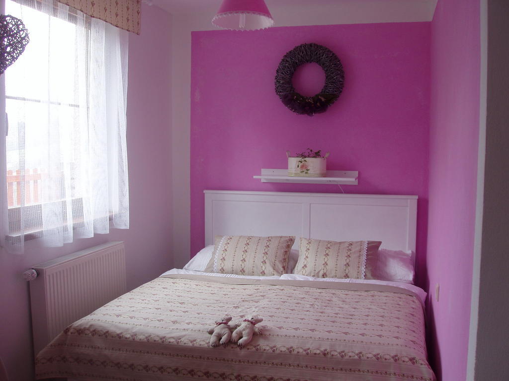 Wellness Penzion Harmonie Rohanov プラハティツェ 部屋 写真